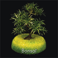 Gel rtenteur d'eau Floragel - Bonsai