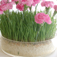 cristaux rtenteurs d'eau Floragel