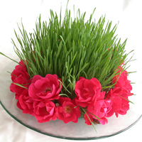 cristaux rtenteurs d'eau Floragel