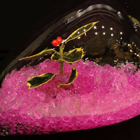 cristaux rtenteurs d'eau Floragel