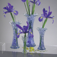 cristaux rtenteurs d'eau Floragel - Iris