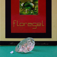 cristaux rtenteurs d'eau Floragel