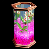 cristaux rtenteurs d'eau Floragel - Mini serre